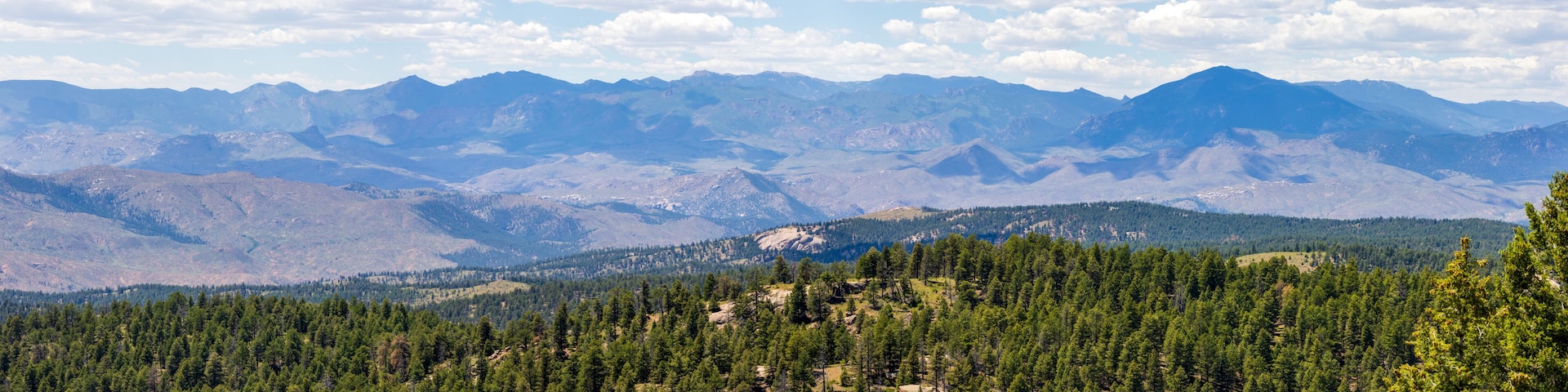 A mountain range with dense forests in the foreground and a clear sky.