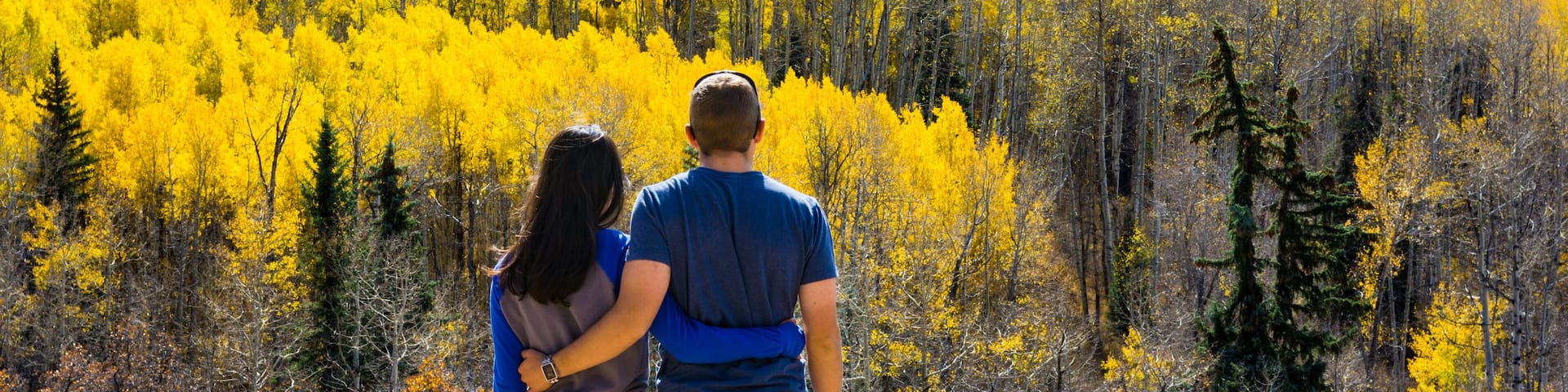 A couple overlooking a forest of yellow trees with snow-capped mountains in the background.