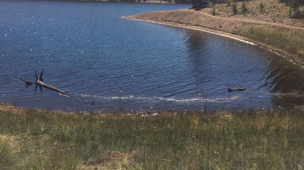 My friend and I decided to walk around the reservoir, but we had to turn around because there was no way we were going cross the water to get to the other side.