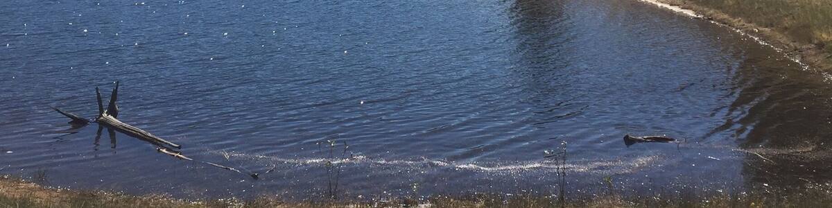My friend and I decided to walk around the reservoir, but we had to turn around because there was no way we were going cross the water to get to the other side.