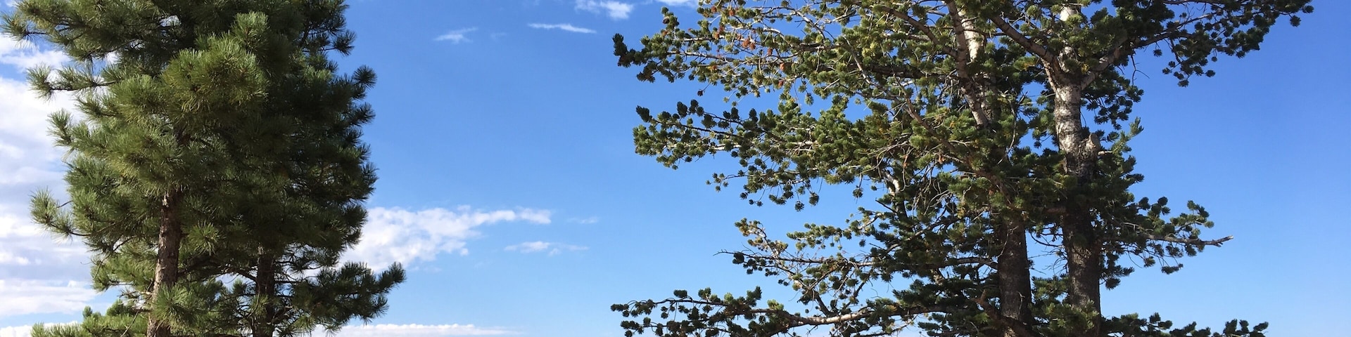 Woodland Park ; Shutterstock ID 708973870; purchase_order: SP-1269 HA 2018 Batch 1; Order: ; client: ; other: