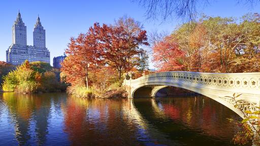 The Bow Bridge is a cast iron bridge located in Central Park, New York City