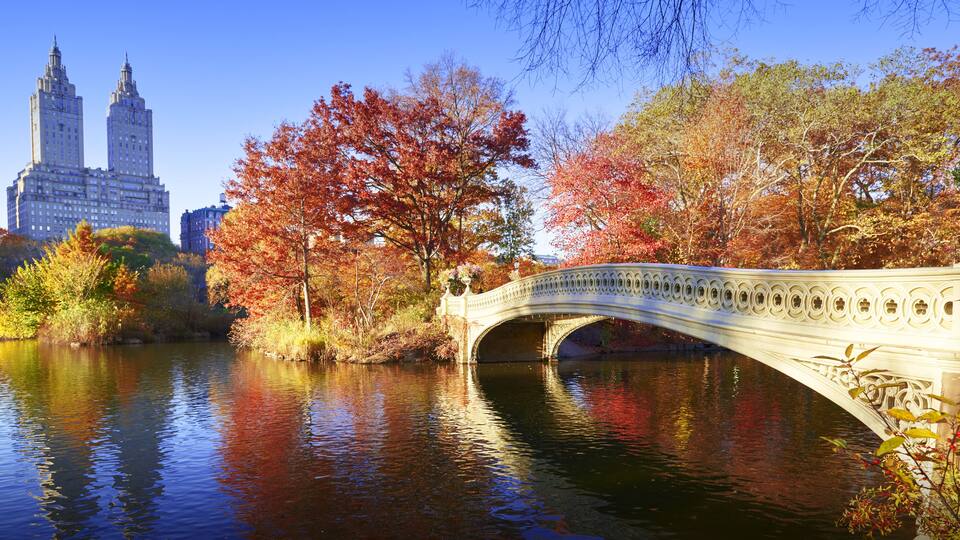 The Bow Bridge is a cast iron bridge located in Central Park, New York City
