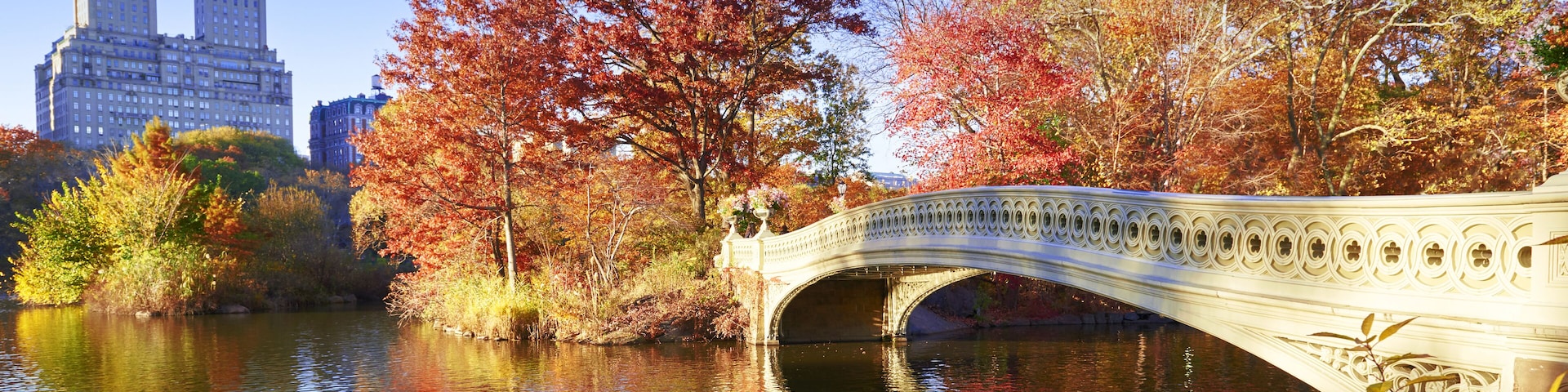 The Bow Bridge is a cast iron bridge located in Central Park, New York City