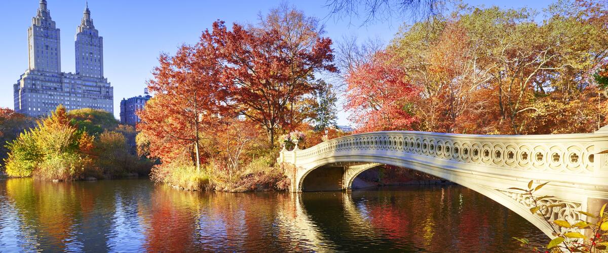 A bridge over a river with autumn foliage and a city skyline in the background.