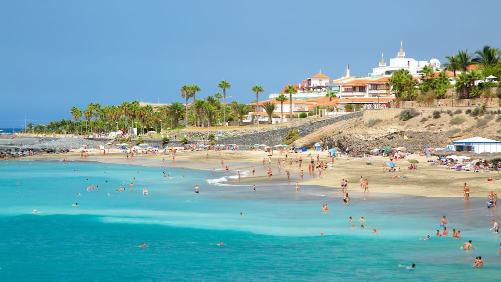 Plage Del Duque mettant en vedette plage de sable, vues littorales et baignade
