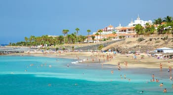 Playa del Duque, Adeje, Spanien som omfatter svømning, udsigt over kystområde og en sandstrand