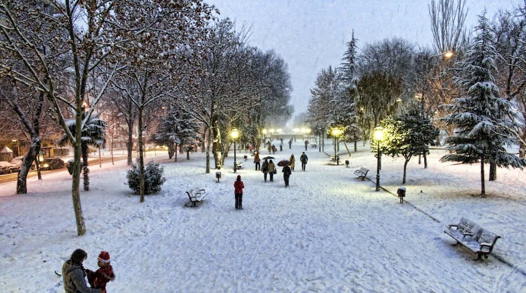 Durante un día, el Paseo de la Cuba se convirtió en el Paseo de la Nieve. Gente paseando, niños jugando... Cuantos problemas trae la nieve, pero hay que ver como nos gusta. Se puede ver en: locuraviajes.com/blog/ola-de-frio-en-europa/ www.centromujer.es/ocio/con-nieve-mas-infidelidades-en-in... elnuevoparquet.com/blog.9/?p=3129 www.afindemes.es/12454/el-mejor-mes-para-viajar-%C2%A1este/