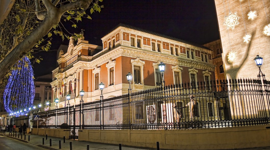 "La Dipu" con iluminación navideña... el árbol azul del fondo y las estrellas señaladas por la sombra de Don Quijote. Se puede ver en: www.absolutalbacete.com/el-mercado-inmobiliario-en-albacete/