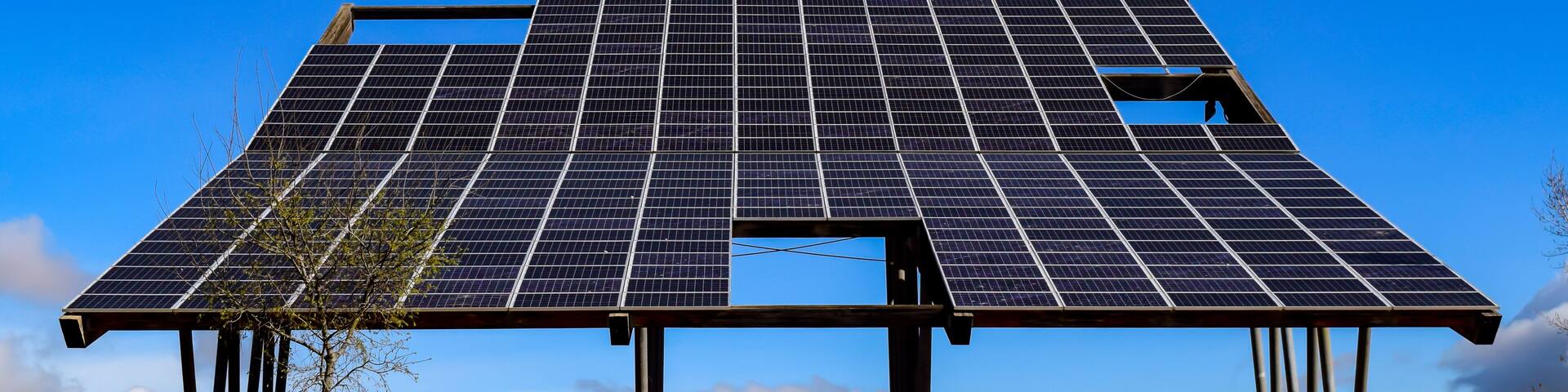 An immense panel of sunlight in a park of Acobendas. Photograph taken in Alcobendas, Madrid (Spain)