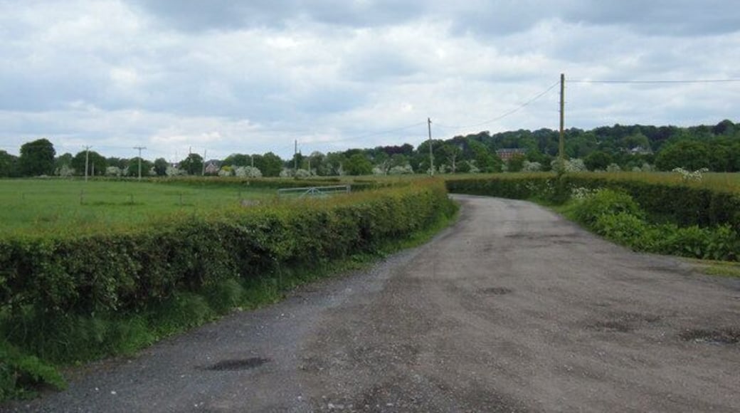 Farm track from Field's Farm. Looking NE towards the outskirts of Alderley Edge.