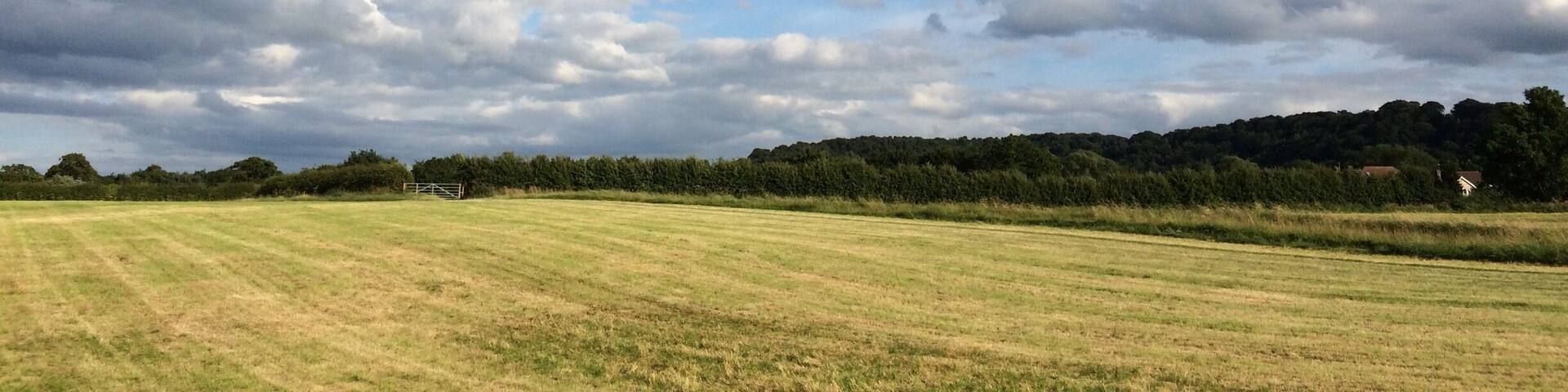 The beautiful, golden countryside around Alderley Edge.