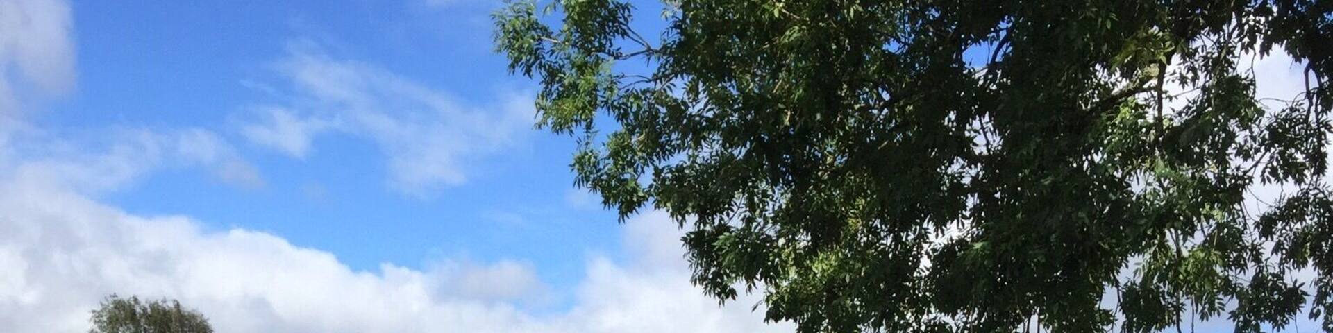 Crossing the bridge at Balloch (Loch Lomond), Scotland.