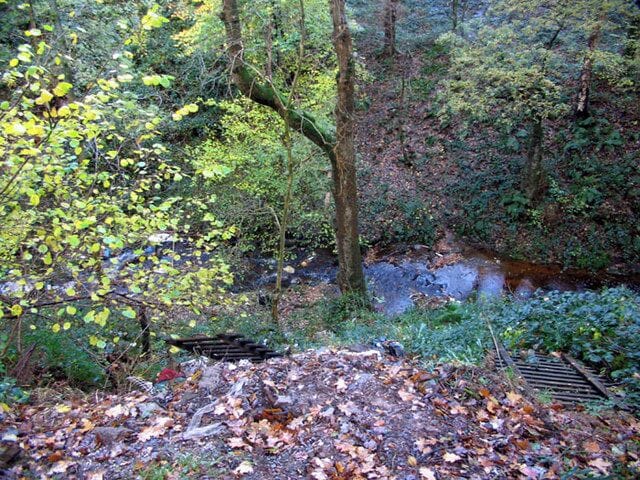 Nature Trail, Bonhill