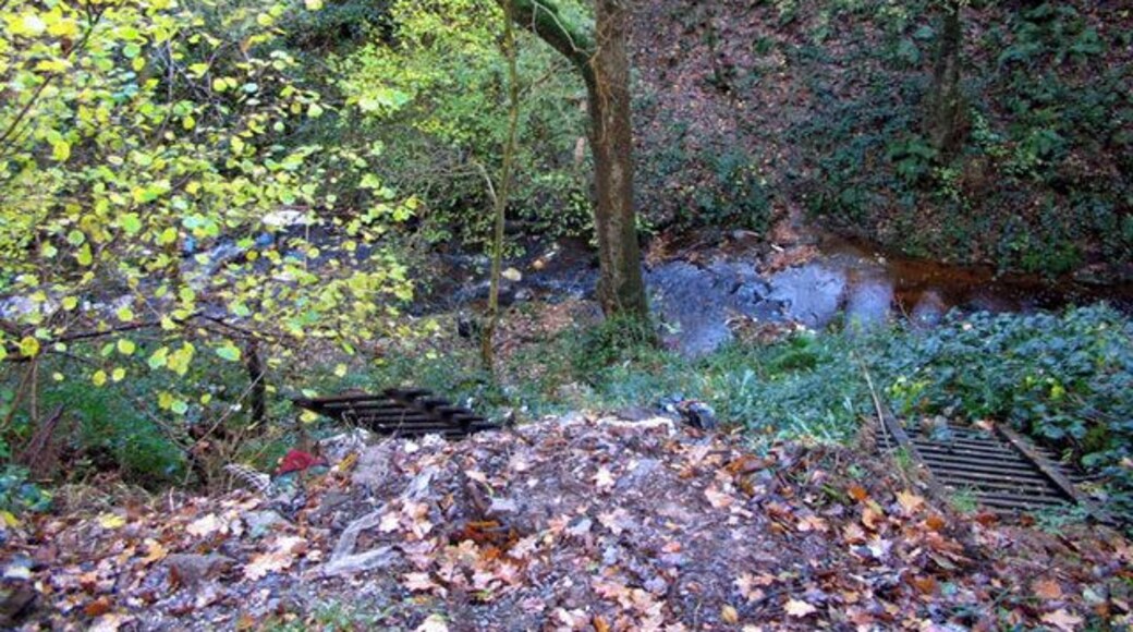 Nature Trail, Bonhill