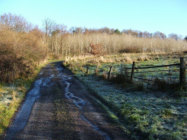 Start of track to Highdykes Farm. The track begins at this point, at the northern edge of Beechwood Estate (the area of housing indicated on the map); the track is a continuation of a road within the estate. For a view further along this route, see 278799. Just beyond the gate, a footpath begins ( https://www.geograph.org.uk/photo/1622691 ), although it isn't particularly visible at this point. The footpath leads off to the right, parallel to the edge of the housing estate, but separated from it by a strip of woodland.