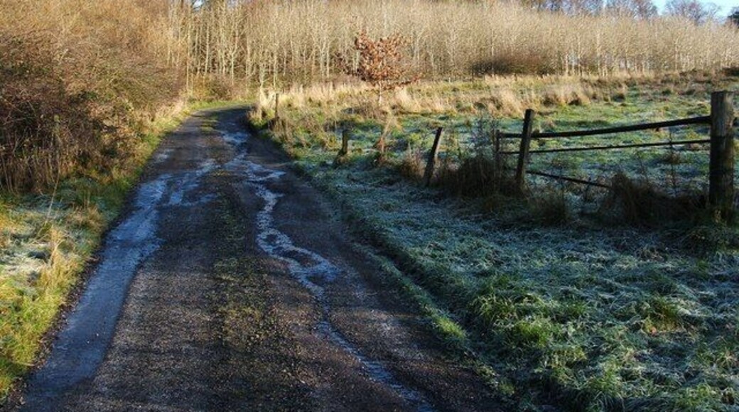 Start of track to Highdykes Farm. The track begins at this point, at the northern edge of Beechwood Estate (the area of housing indicated on the map); the track is a continuation of a road within the estate. For a view further along this route, see 278799. Just beyond the gate, a footpath begins ( https://www.geograph.org.uk/photo/1622691 ), although it isn't particularly visible at this point. The footpath leads off to the right, parallel to the edge of the housing estate, but separated from it by a strip of woodland.