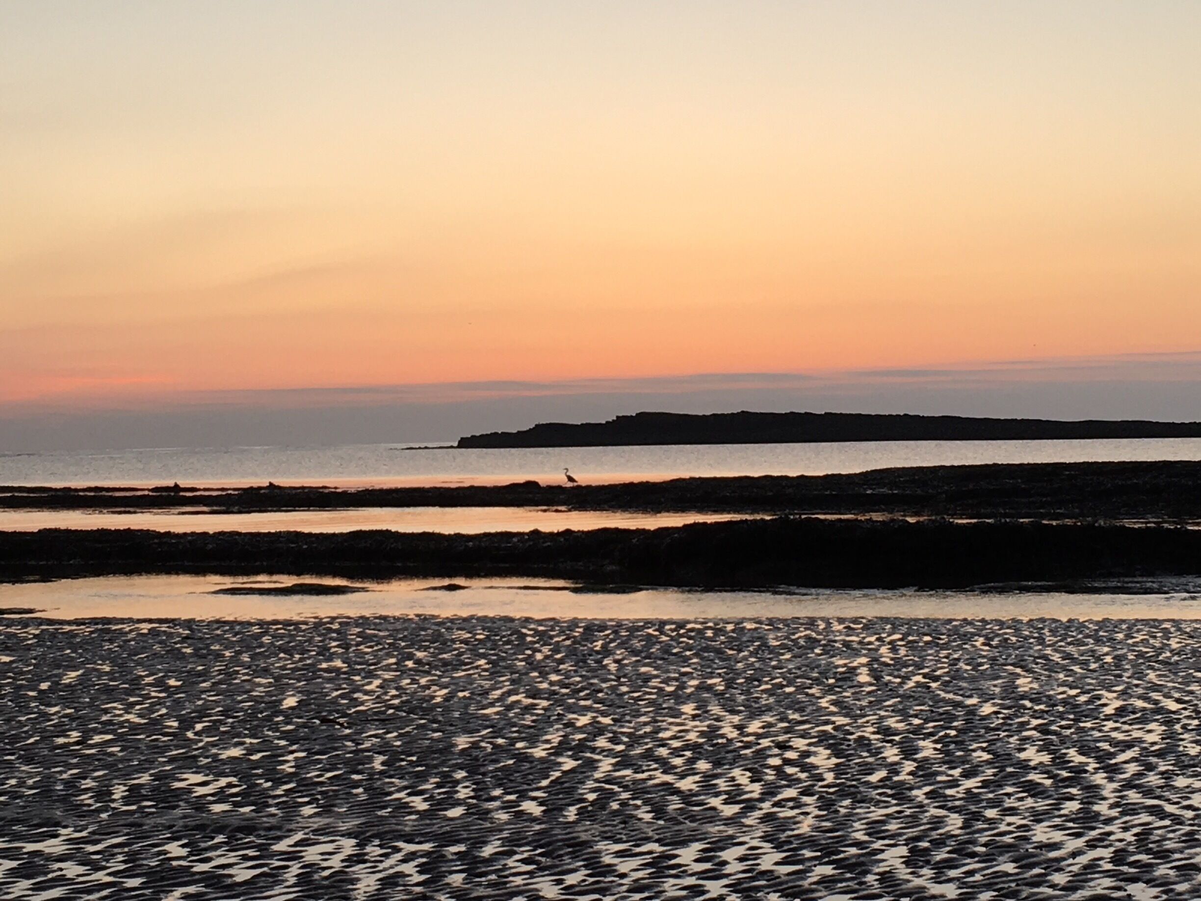 Great sunrise on the beach and so peaceful. 
Zoom in to see the stork 
#wildlife #sunrise #beach #sea 