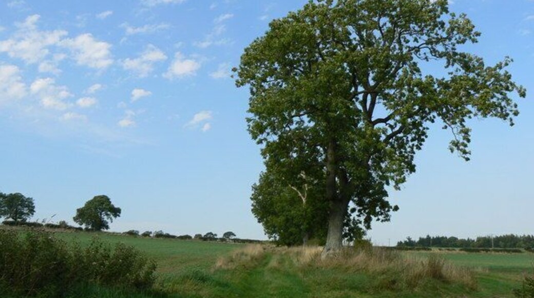 Devil's causeway This farm track follows the course of a Roman road known locally as the Devil's Causeway.