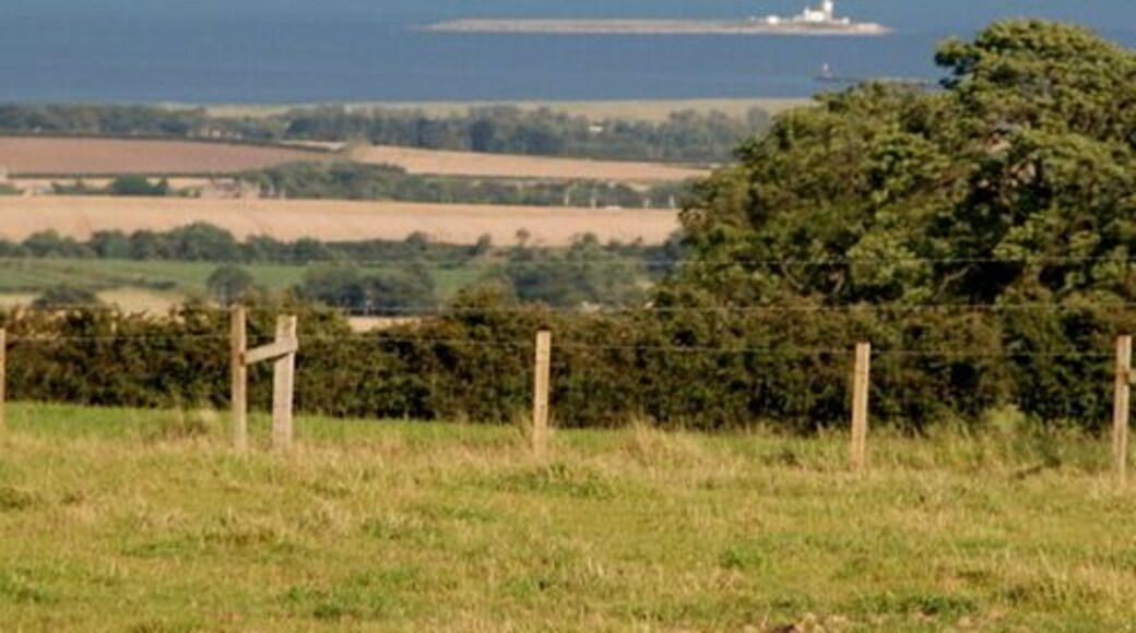 Fields below Hillhead This mixed agricultural land slopes down to the sea. Coquet Island can be seen in the background about 10 kilometres away.