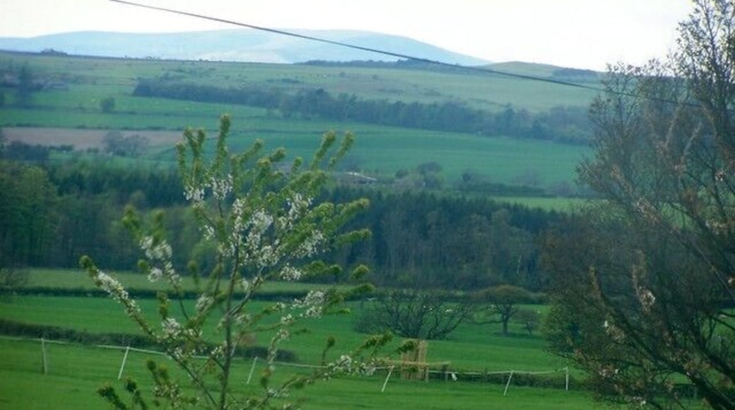 Townfoot. View to the east