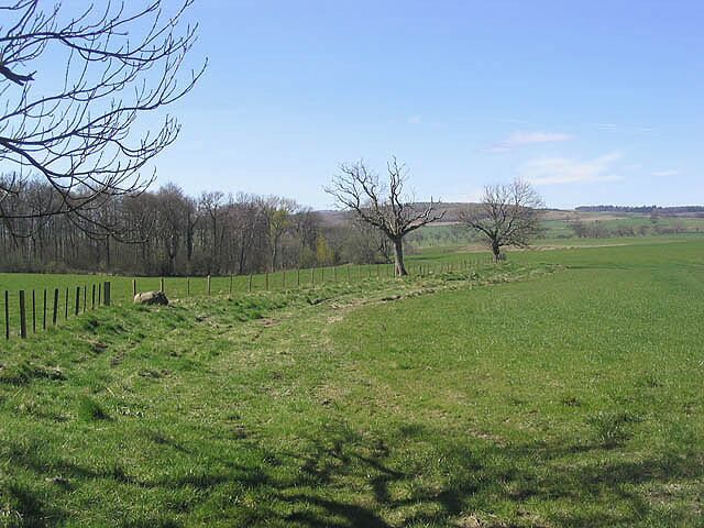 Farmland Pasture fields to the north of Chillingham Barns Farm, viewed in early April.