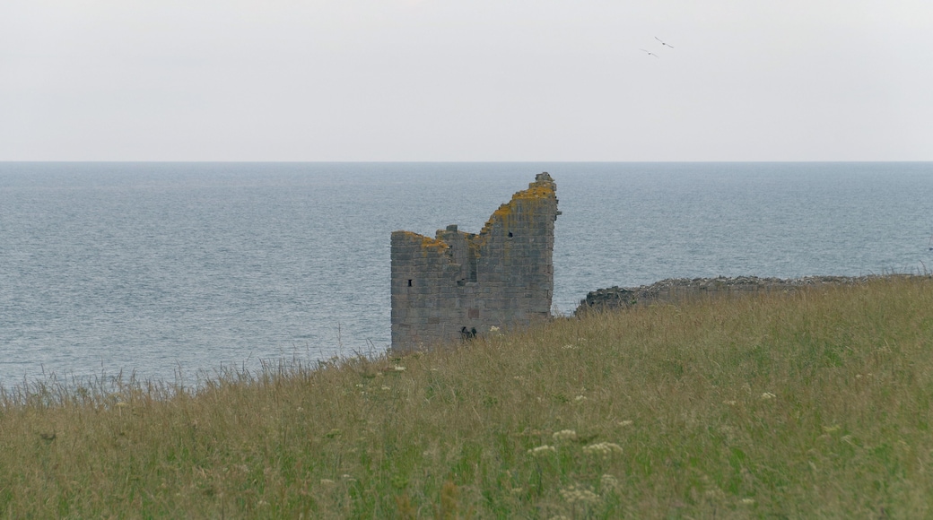 Dunstanburgh Castle in Northumberland.