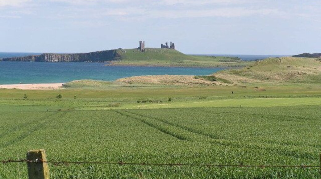 Wheat field with Dunstanburgh Castle in background.