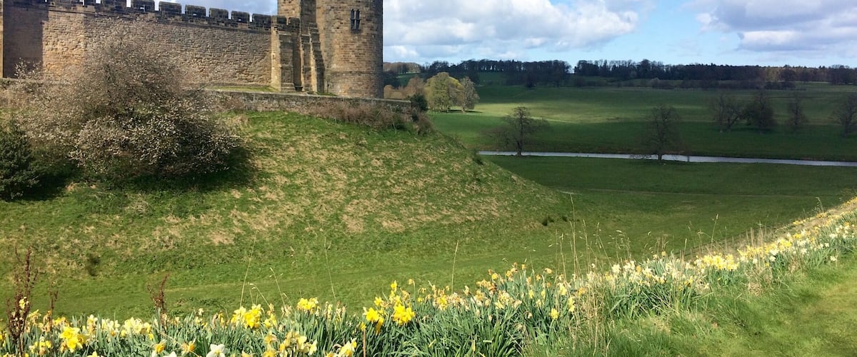 #Alnwick #Castle #Northumberland