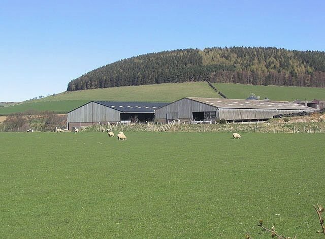Buildings at Chatton Park Farm Viewed from the B6348 with Park Plantation on Chattonpark Hill behind.