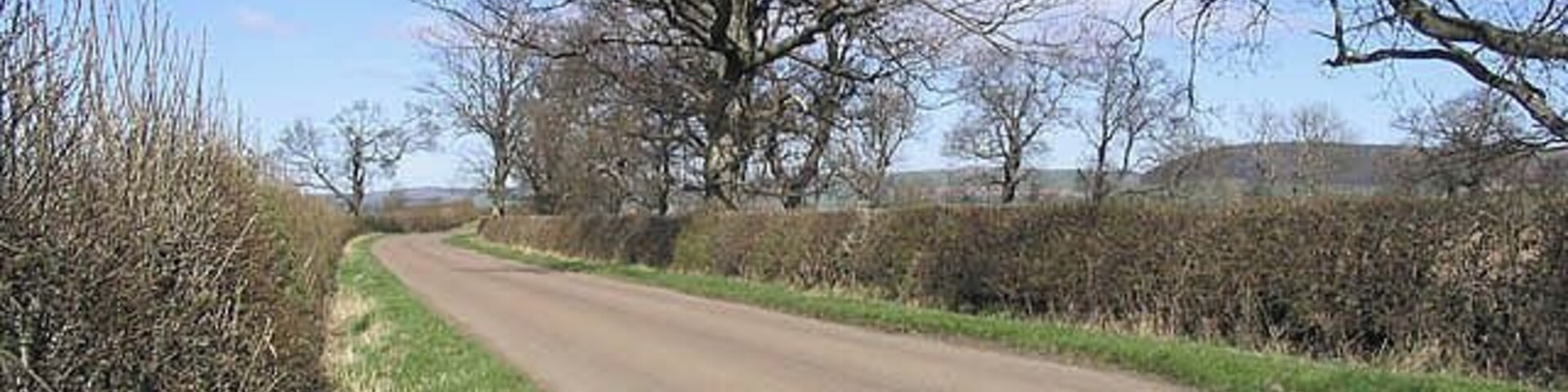 A country road North of Chillingham.