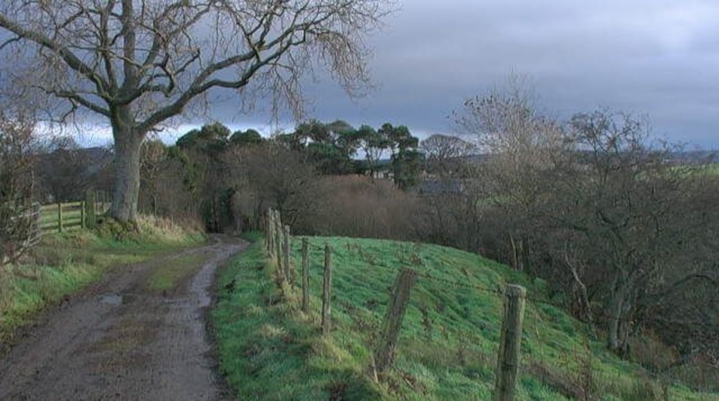 Upper cottages of Roseden from the track to the west