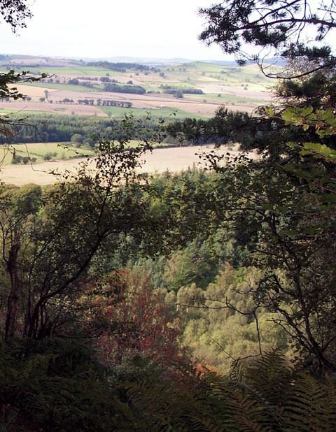 Thrunton Woods. View north over Whittingham Vale from Castle Hill