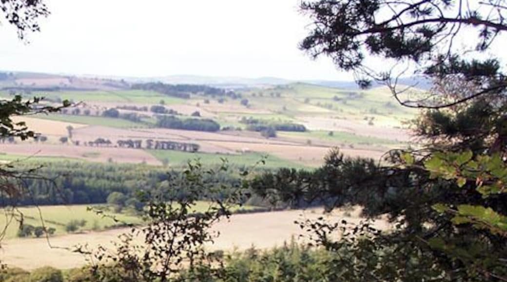 Thrunton Woods. View north over Whittingham Vale from Castle Hill