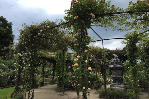 Roses of Alnwick Garden