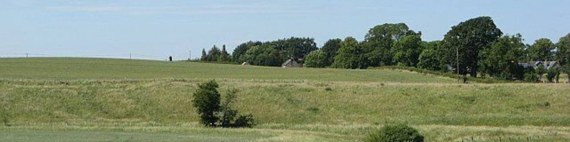 Wheat field near Chatton Arable land beside the Till.