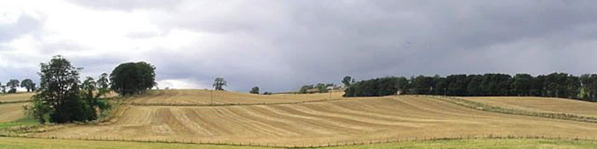 Farmland at Callaly