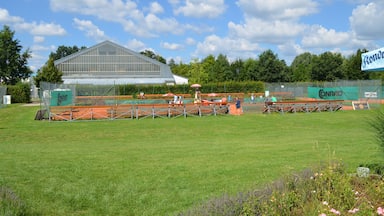 Anlage des TC Amberg am Schanzl August 2016 - Blick von Terasse auf M-Platz