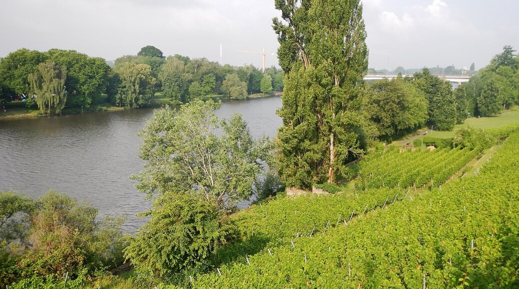 Blick auf den Main von den Saint-Germanin Terrassen beim Pompejanum