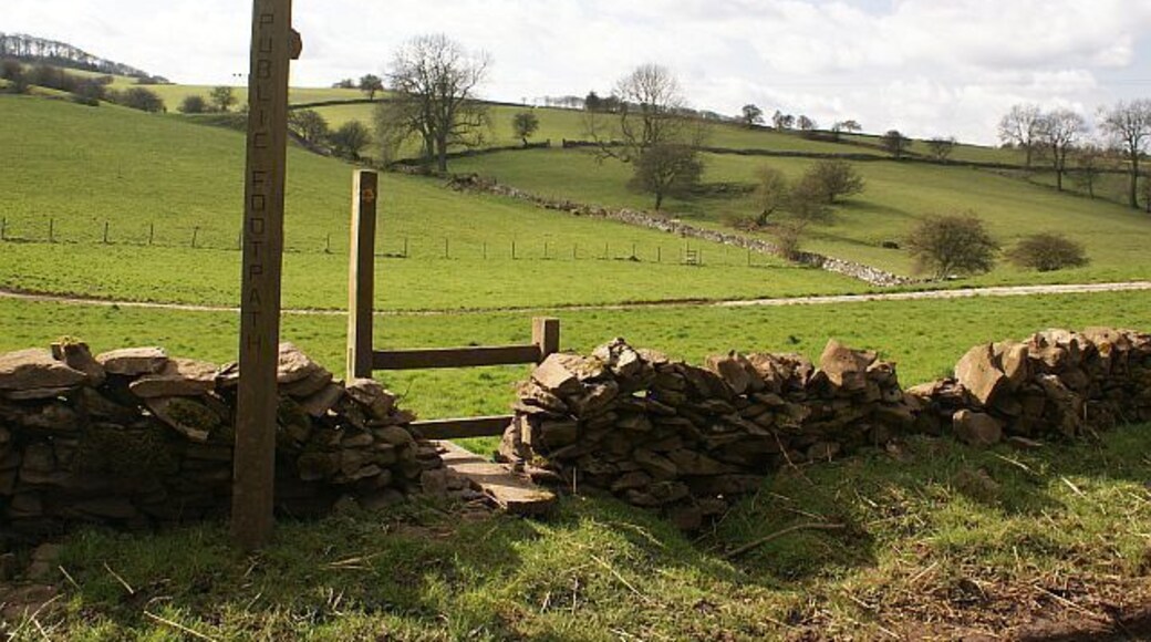 Footpath off Common Lane Several footpaths cross in this field.