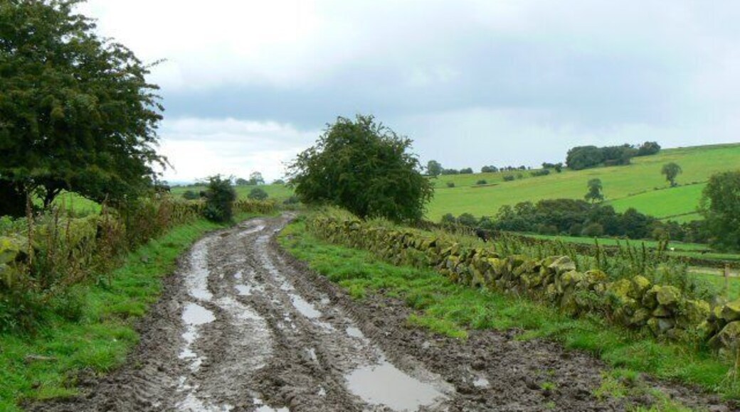 Caution - mud on road The road south of Nibs End Farm, following heavy rain.