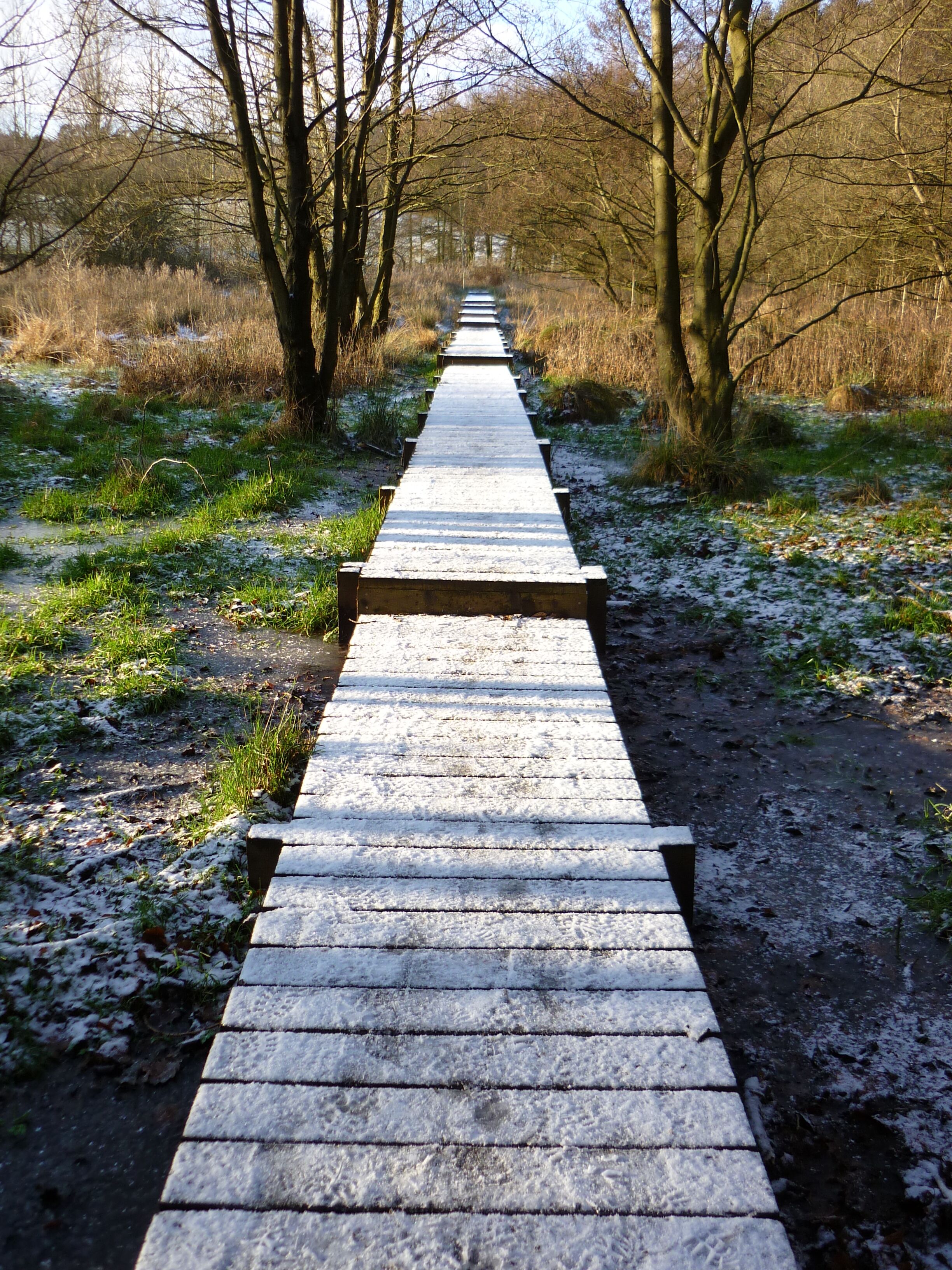 A wooden boardwalk through a wooded area with snow on the ground.