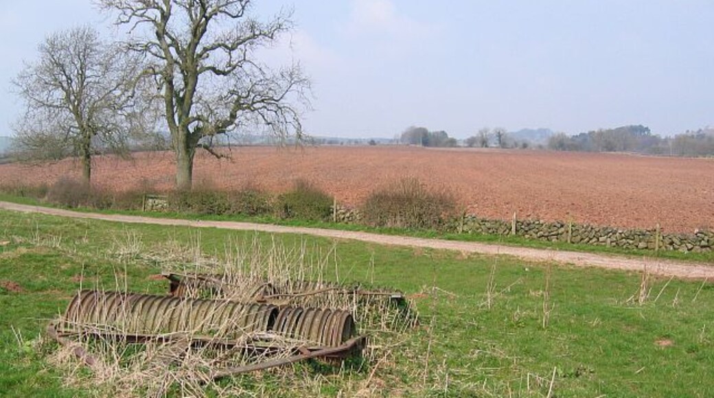 Wildhay Lane near Wootton Where the footpath from Michael's Lane joins Wildhay Lane. Note the characteristic red soil of the area.