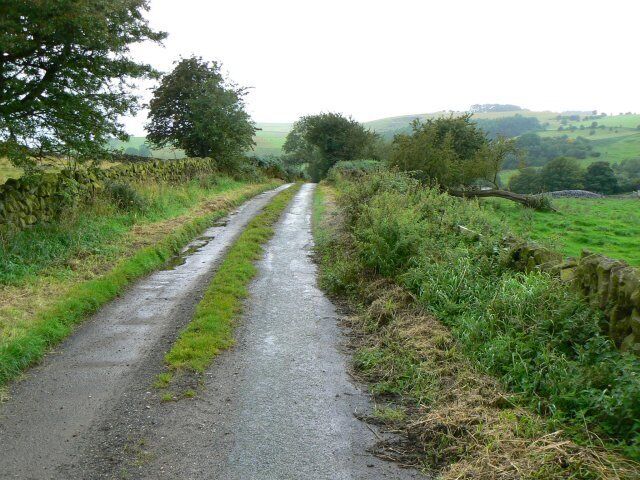 Little-used road Grass growing down the middle of the road leading to Nibs End Farm.