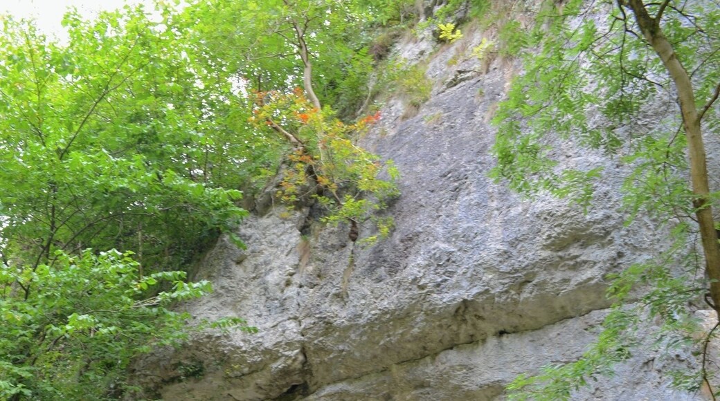 Taken at Dove Holes in Dovedale, Derbyshire at The Peak District, UK.
#NationalPark #PeakDistrict #DoveDale #RiverDove #Thorpe #ThorpeCloud #DoveValley #Valley #Gorge #Hills #Cliffs #Milldale #IlamRock #TissingtonSpires #ReynardsCave #DoveHoles #LoversLeap #Cave #River #Woodland #Outdoors #Walking #Hiking