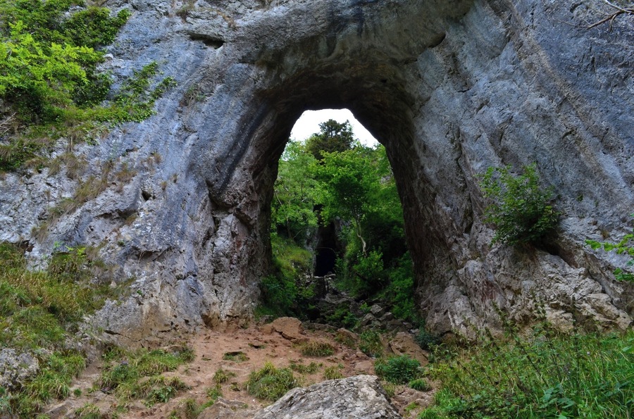 Taken at Reynards Cave in Dovedale, Derbyshire at The Peak District, UK.
#NationalPark #PeakDistrict #DoveDale #RiverDove #Thorpe #ThorpeCloud #DoveValley #Valley #Gorge #Hills #Cliffs #Milldale #IlamRock #TissingtonSpires #ReynardsCave #DoveHoles #LoversLeap #Cave #River #Woodland #Outdoors #Walking #Hiking