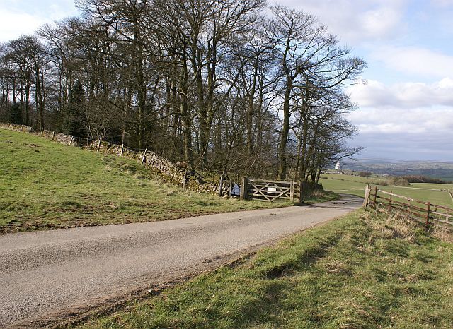 Wetstonebank Plantation The road north of Weaver Farm crosses a cattle grid as it passes the plantation.