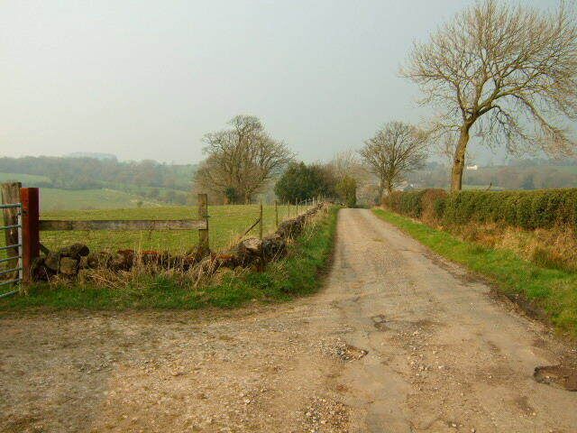 Bullgap Lane Looking towards the hamlet of Bullgap, most the fields behind the photo are very wet and grow excellent rushes, the fields lower down in front of the camera have been drained and suitable for grass.