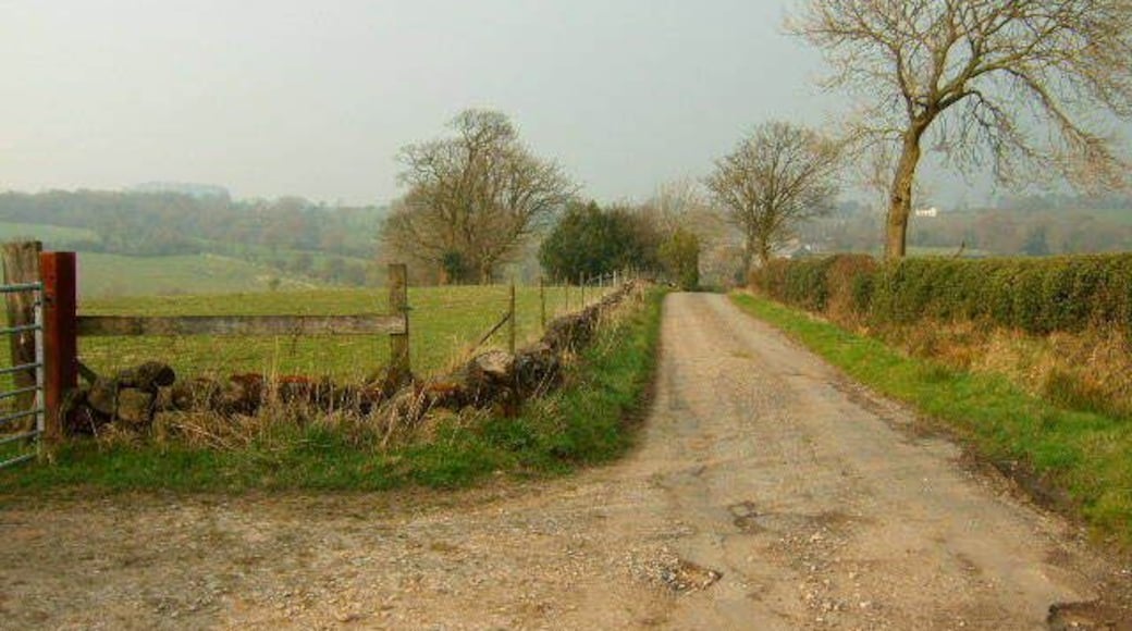 Bullgap Lane Looking towards the hamlet of Bullgap, most the fields behind the photo are very wet and grow excellent rushes, the fields lower down in front of the camera have been drained and suitable for grass.
