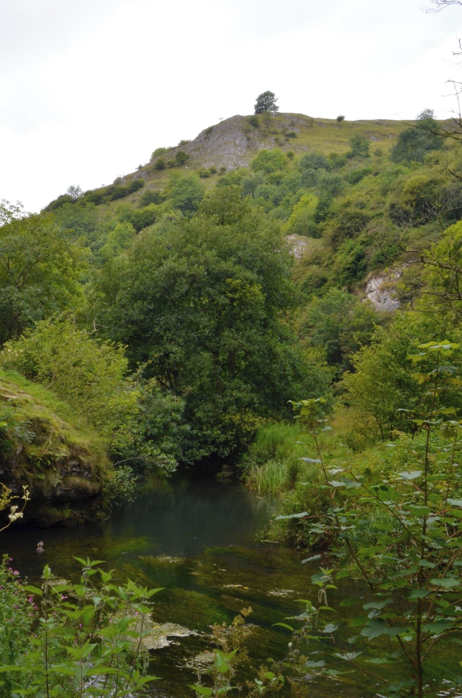 Taken at The River Dove in Dovedale, Derbyshire at The Peak District, UK.
#NationalPark #PeakDistrict #DoveDale #RiverDove #Thorpe #ThorpeCloud #DoveValley #Valley #Gorge #Hills #Cliffs #Milldale #IlamRock #TissingtonSpires #ReynardsCave #DoveHoles #LoversLeap #Cave #River #Woodland #Outdoors #Walking #Hiking 